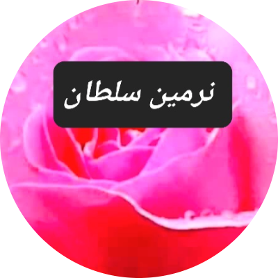 نرمين محمود محمد سلطان 
