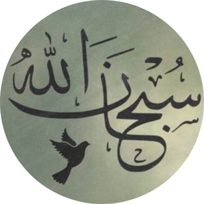 هاله محمد فوزي نصر عبد الناصر