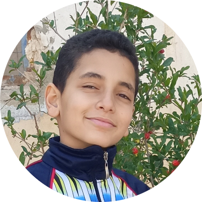  Moamen Tarek ELDESOUKY 