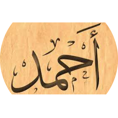 أحمد تركي صقر 