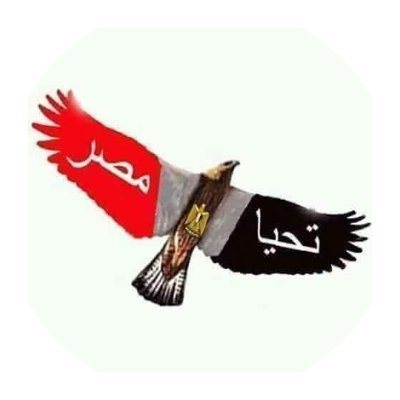 هانى فؤاد محمود شيبه